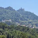 3 Vistas