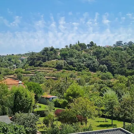3 Vistas דירה *